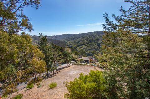 317 Durant Way, Mill Valley, CA 94941 photo 10