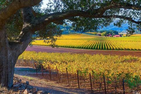 2873 Main St, Napa, CA 94558 photo 29