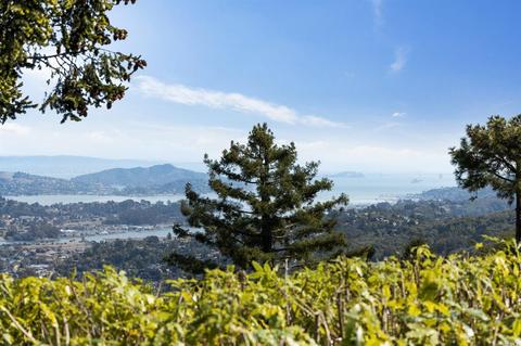 50 Monte Cimas Ave, Mill Valley, CA 94941 photo 40