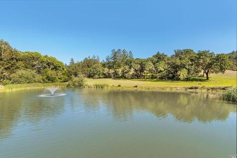 5860 Sharp Rd, Calistoga, CA 94515 photo 40