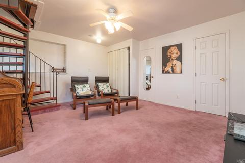 446 Scenic Rd, Fairfax, CA 94930 photo 26