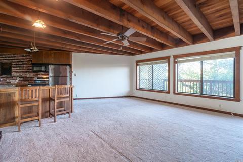 446 Scenic Rd, Fairfax, CA 94930 photo 34