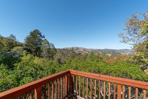 446 Scenic Rd, Fairfax, CA 94930 photo 17