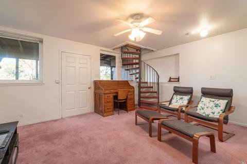 446 Scenic Rd, Fairfax, CA 94930 photo 28