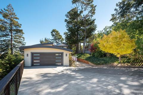 57 Loring Ave, Mill Valley, CA 94941 photo 46
