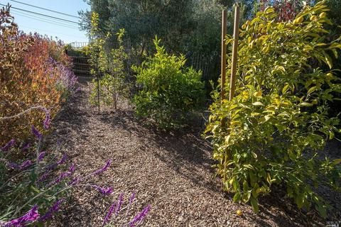 57 Loring Ave, Mill Valley, CA 94941 photo 44