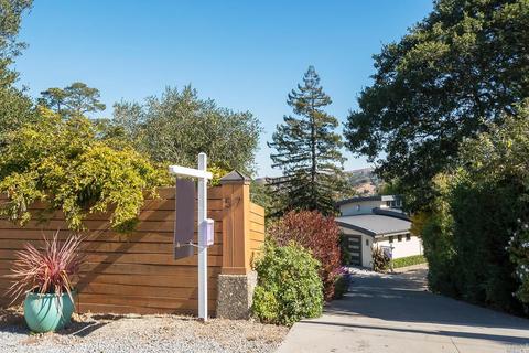 57 Loring Ave, Mill Valley, CA 94941 photo 48