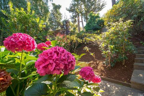 57 Loring Ave, Mill Valley, CA 94941 photo 43