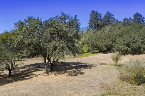 1125 Westside Rd, Healdsburg, CA 95448 photo 25