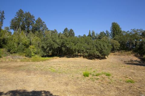 1125 Westside Rd, Healdsburg, CA 95448 photo 9