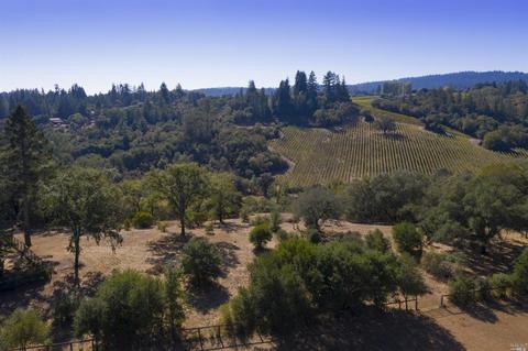 1125 Westside Rd, Healdsburg, CA 95448 photo 44