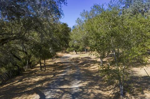 1125 Westside Rd, Healdsburg, CA 95448 photo 52
