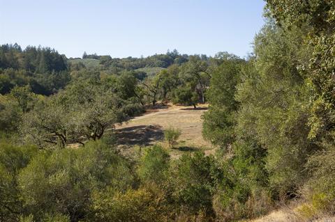 1125 Westside Rd, Healdsburg, CA 95448 photo 17