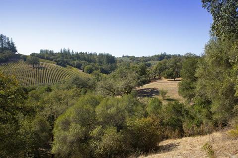 1125 Westside Rd, Healdsburg, CA 95448 photo 16