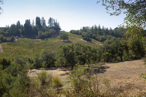1125 Westside Rd, Healdsburg, CA 95448 photo 15