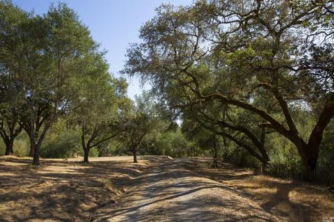 1125 Westside Rd, Healdsburg, CA 95448 photo 7