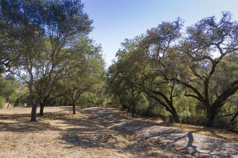 1125 Westside Rd, Healdsburg, CA 95448 photo 8