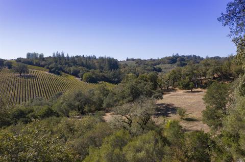 1125 Westside Rd, Healdsburg, CA 95448 photo 41