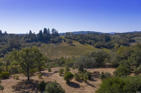 1125 Westside Rd, Healdsburg, CA 95448 photo 5