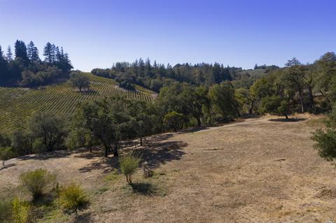 1125 Westside Rd, Healdsburg, CA 95448 photo 40