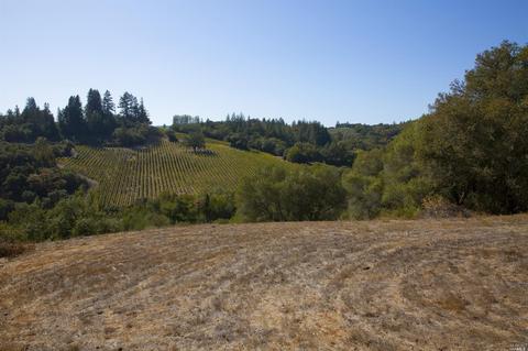 1125 Westside Rd, Healdsburg, CA 95448 photo 14