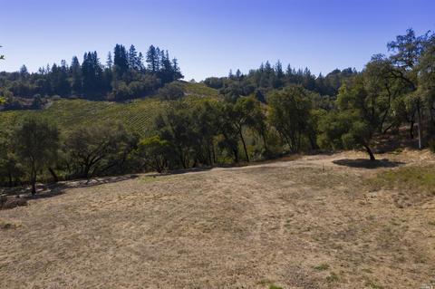 1125 Westside Rd, Healdsburg, CA 95448 photo 39