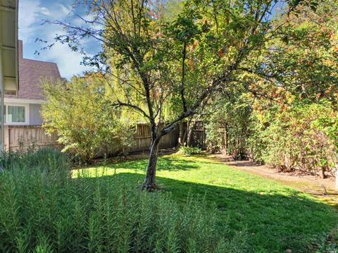 563 Gregory Cir, Sonoma, CA 95476 photo 21
