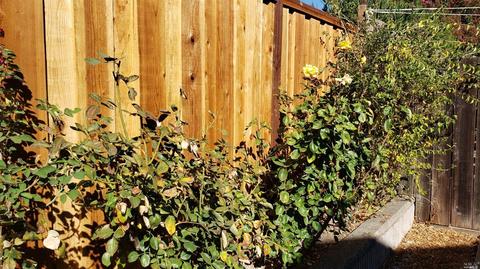 819 Milsom Pl, Windsor, CA 95492 photo 7