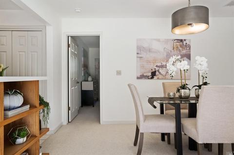 719 Miller Ave, Mill Valley, CA 94941 photo 19