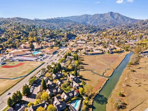 719 Miller Ave, Mill Valley, CA 94941 photo 29