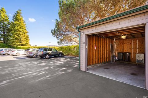 719 Miller Ave, Mill Valley, CA 94941 photo 34