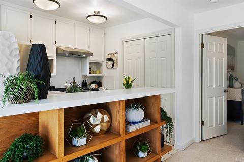719 Miller Ave, Mill Valley, CA 94941 photo 17