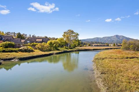 719 Miller Ave, Mill Valley, CA 94941 photo 33