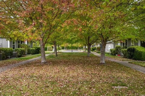 846 3rd St W, Sonoma, CA 95476 photo 44