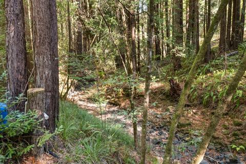 15300 Bittner Rd, Occidental, CA 95465 photo 50