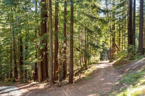 15300 Bittner Rd, Occidental, CA 95465 photo 5
