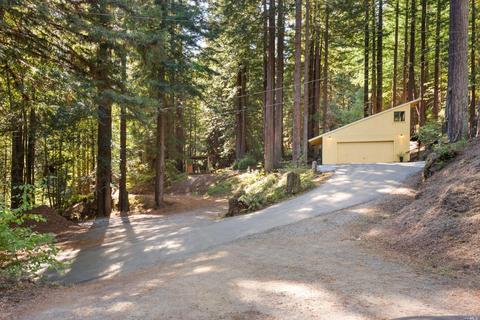 15300 Bittner Rd, Occidental, CA 95465 photo 37