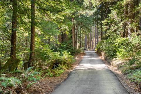 15300 Bittner Rd, Occidental, CA 95465 photo 3