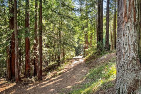 15300 Bittner Rd, Occidental, CA 95465 photo 47