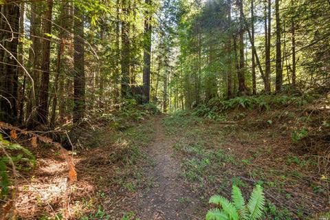 15300 Bittner Rd, Occidental, CA 95465 photo 38
