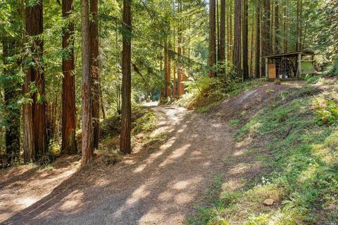 15300 Bittner Rd, Occidental, CA 95465 photo 51