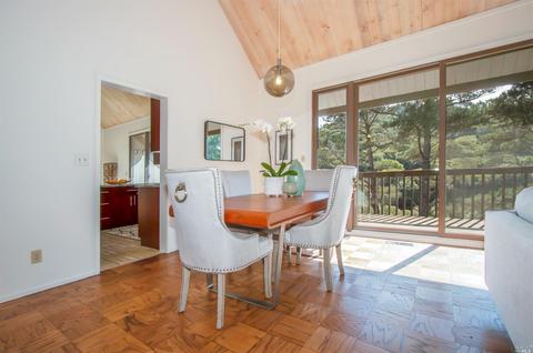 376 Carrera Dr, Mill Valley, CA 94941 photo 13