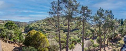 376 Carrera Dr, Mill Valley, CA 94941 photo 11