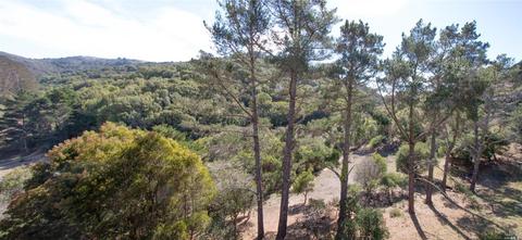 376 Carrera Dr, Mill Valley, CA 94941 photo 35