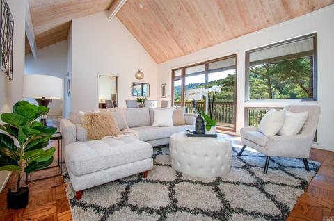 376 Carrera Dr, Mill Valley, CA 94941 photo 4
