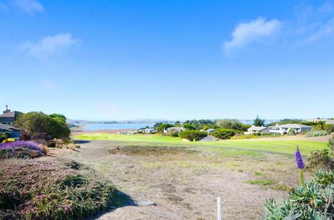 74 Surfbird Ct, Bodega Bay, CA 94923 photo 42