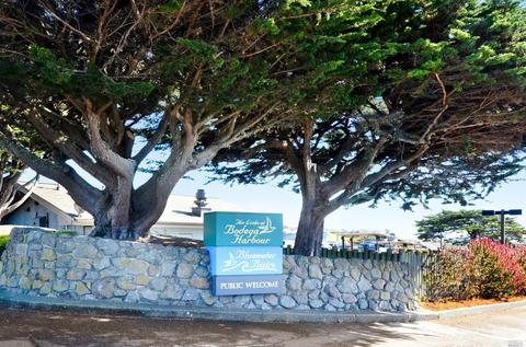 74 Surfbird Ct, Bodega Bay, CA 94923 photo 44