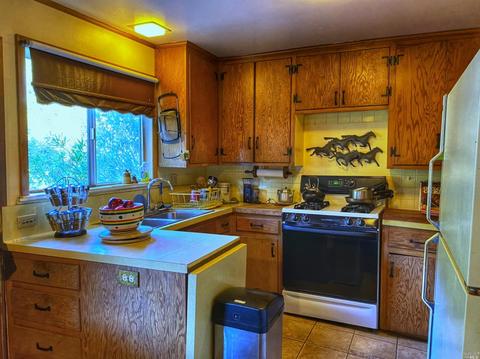 20290 River Blvd, Monte Rio, CA 95462 photo 11