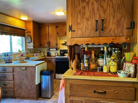 20290 River Blvd, Monte Rio, CA 95462 photo 10