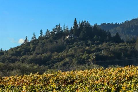 10331 Westside Rd, Healdsburg, CA 95448 photo 24